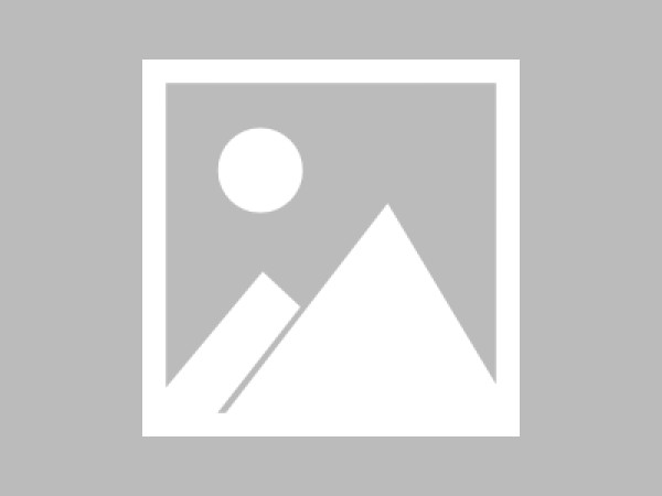 科技助力农业，从传统到数字，蜕变之旅